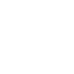 teddy bear1